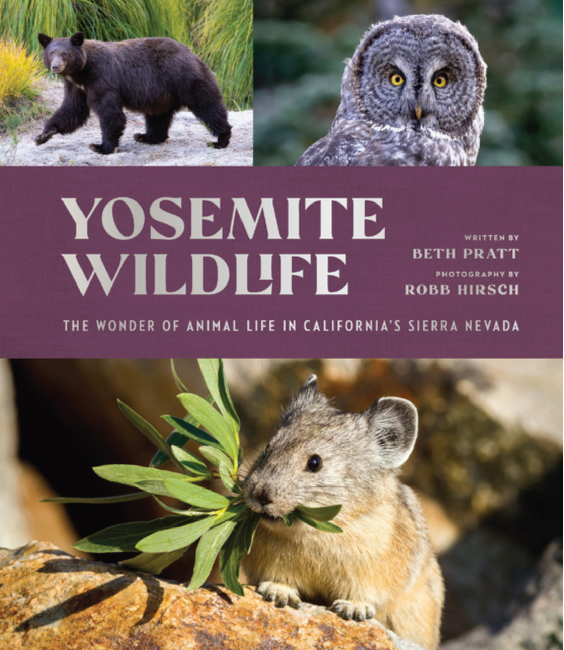 Yosemite Wildlife: The Wonder of Animal Life in California's Sierra Nevada - PGW